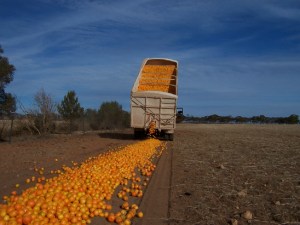 Omkring en tredjedel av matressursene i både fattige og rike land kommer ikke til nytte.  Det er en stor global utfordring å få redusert svinn av mat, mener flere og flere politikere