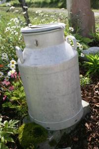 RÅVARER: Høy kvalitet på råvarene er noe av hemmeligheten bak ostesuksessen fra Tingvoll. Dette melkespannet som pryder innkjørselen er en liten påminnelse om at det. (Foto: Arne Storrønningen)