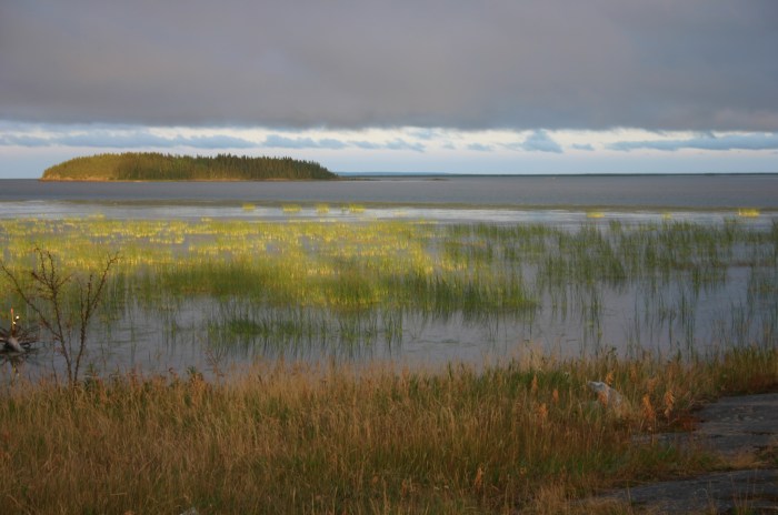 2780574958_a08cd47118_o-2