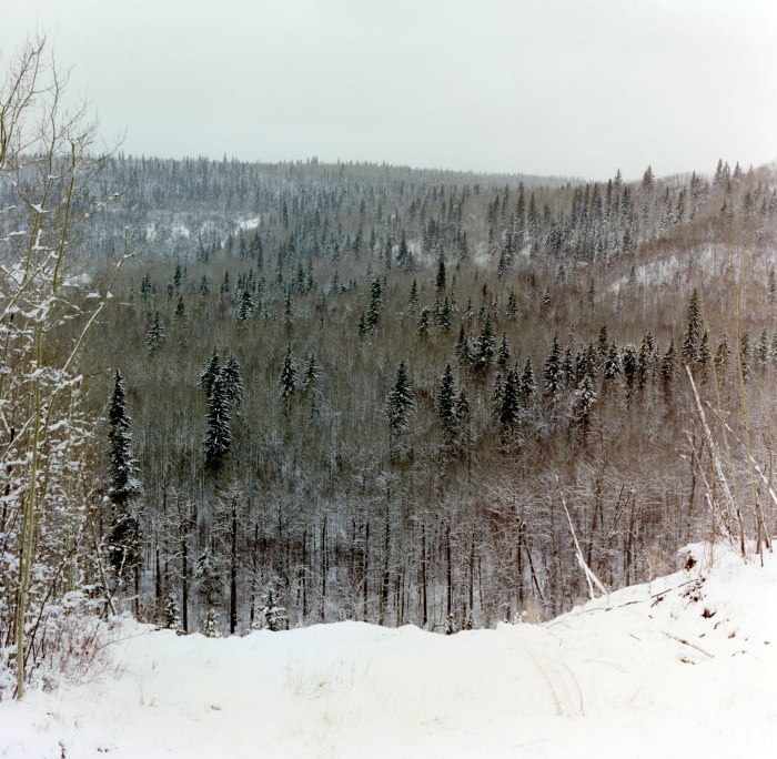 7779782350_6b3ed36d38_o-2-lavopploselig