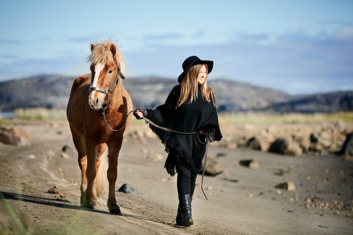 Mari_Boine_ 2 Credit_Gregor-Hohenberg_0012Chest_1024x683