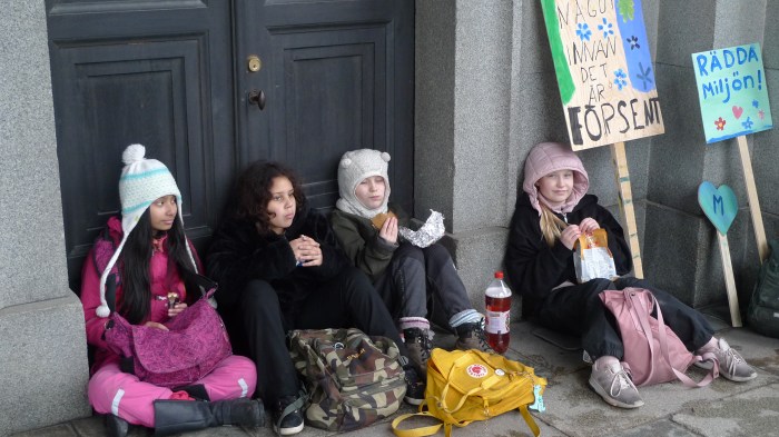 fivhmag 219 mynttorget stockholm